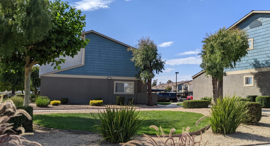 Jardines De Soledad Chispa