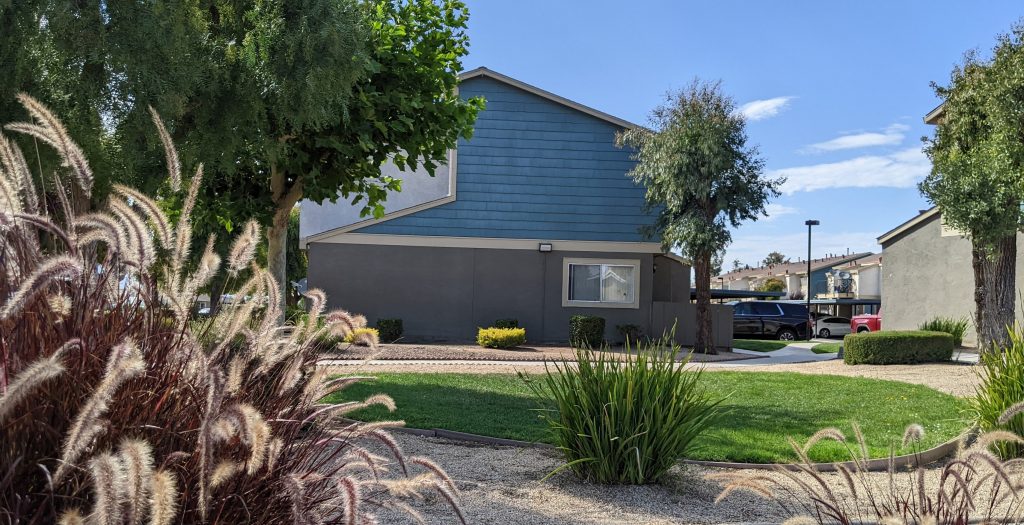 Jardines De Soledad Chispa